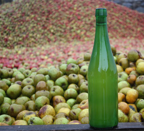 Saison de Cidre 2019 Iruin