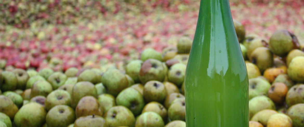 Saison de Cidre 2019 Iruin